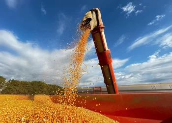 Conflito no Oriente Médio e impactos ao produtor de milho