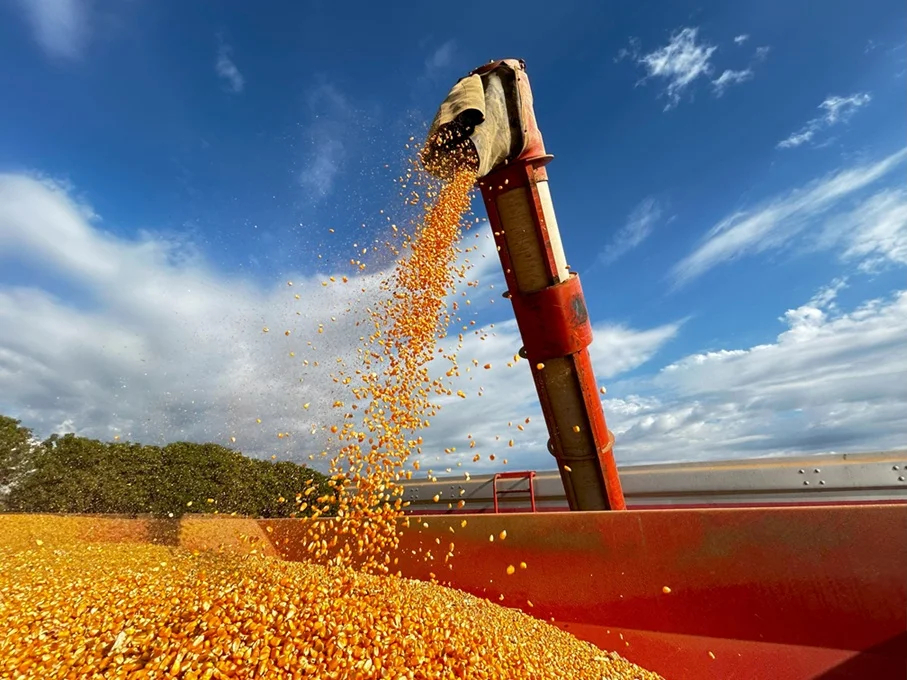 Conflito no Oriente Médio e impactos ao produtor de milho