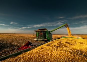 Abramilho discute Plano Safra, seguro rural e armazenagem com Mapa no dia 13