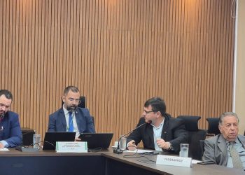Abramilho participa de reunião da Câmara Setorial de Milho e Sorgo com foco em competitividade, inovação e sustentabilidade