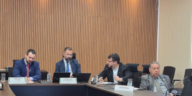 Abramilho participa de reunião da Câmara Setorial de Milho e Sorgo com foco em competitividade, inovação e sustentabilidade